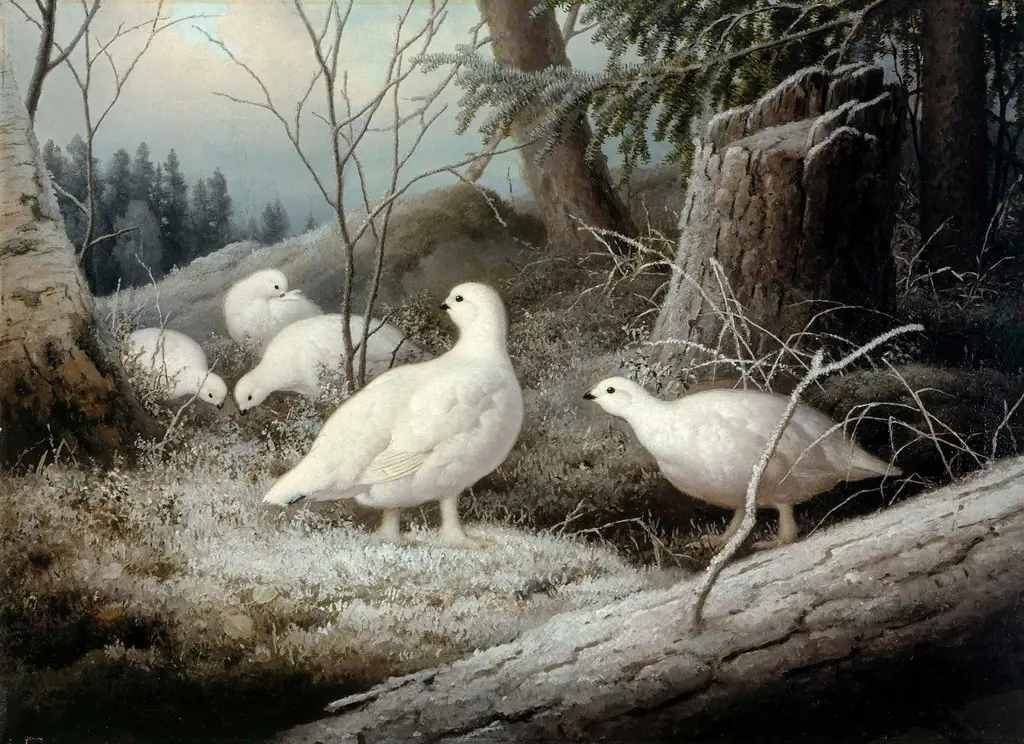 Ptarmigans, by Ferdinand von Wright