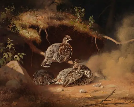 Pyitä rypykuopalla, by Ferdinand von Wright