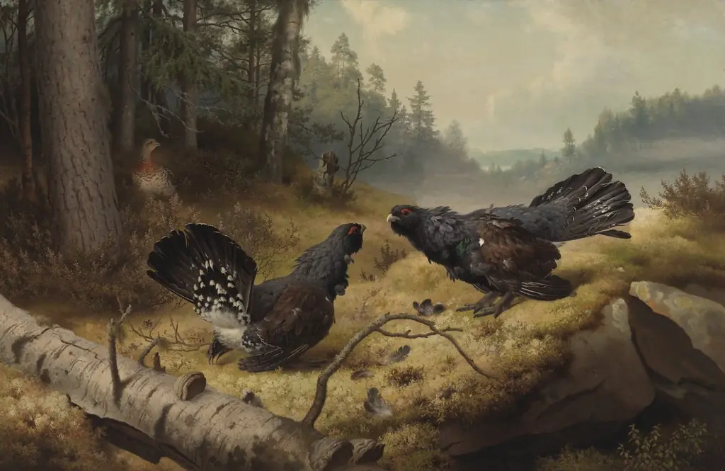 The Fighting Capercaillies, by Ferdinand von Wright
