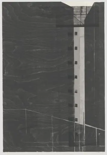 Untitled, by Fernando Vilela