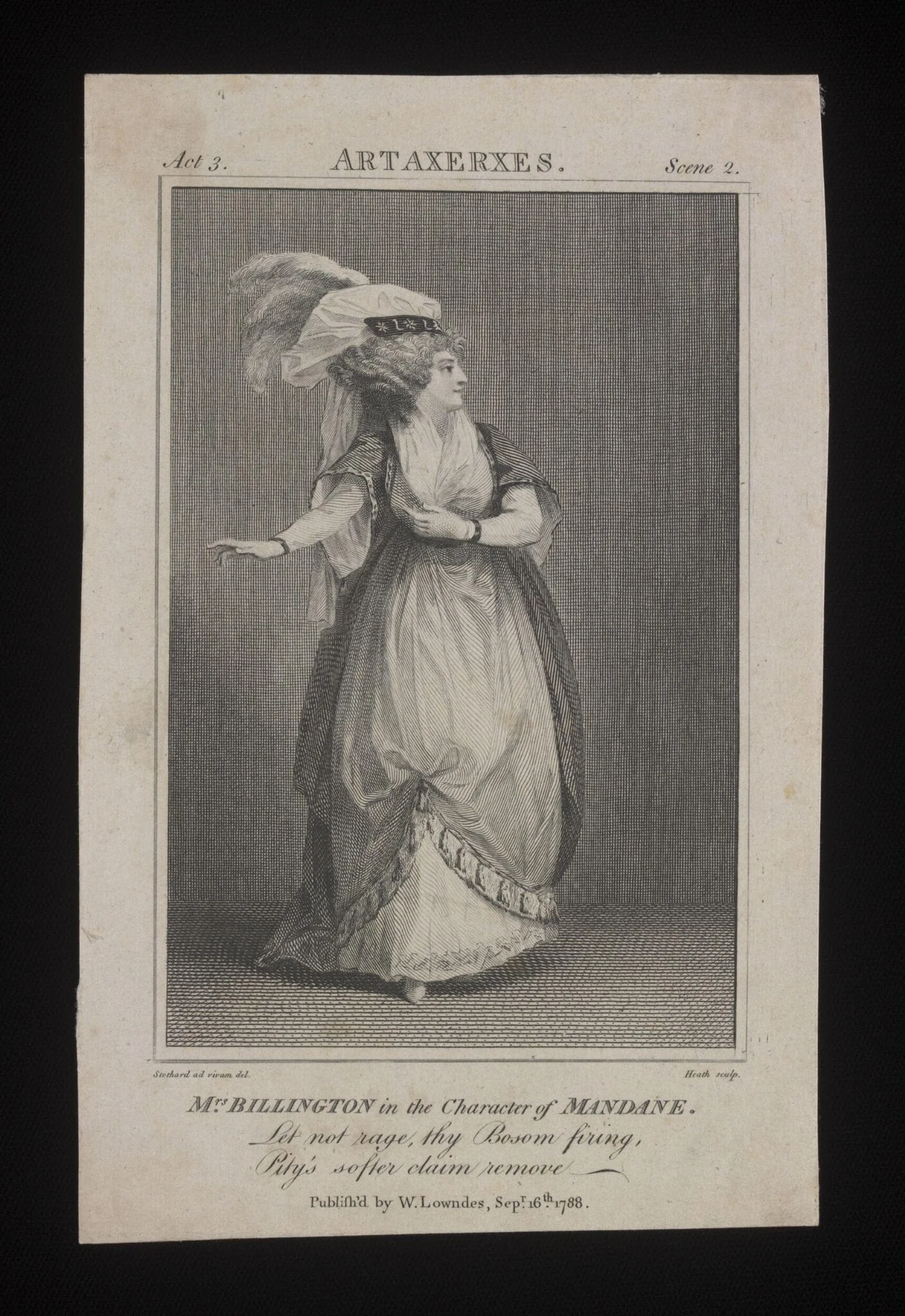 H Beard Print Collection, detail