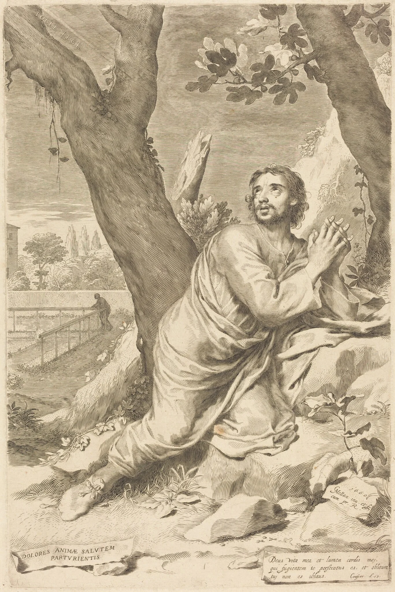 Saint Augustine, detail