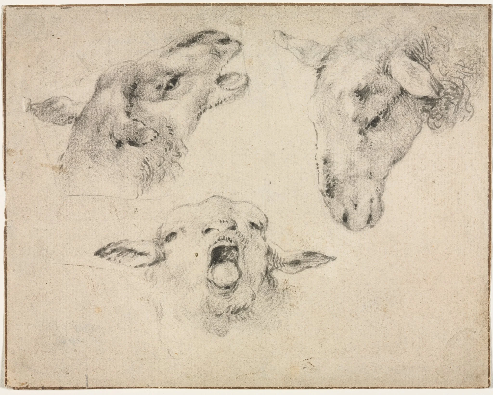 Sheep Heads, detail