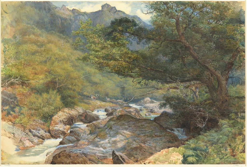 On the East Lyn, North Devon, by William Henry Millais, gouache, 1865