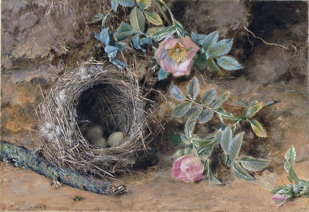 Wild Roses and Bird's Nest, by William Henry Hunt, watercolor, 1810