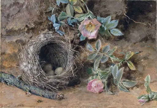 Wild Roses and Bird's Nest, by William Henry Hunt, watercolor, 1810