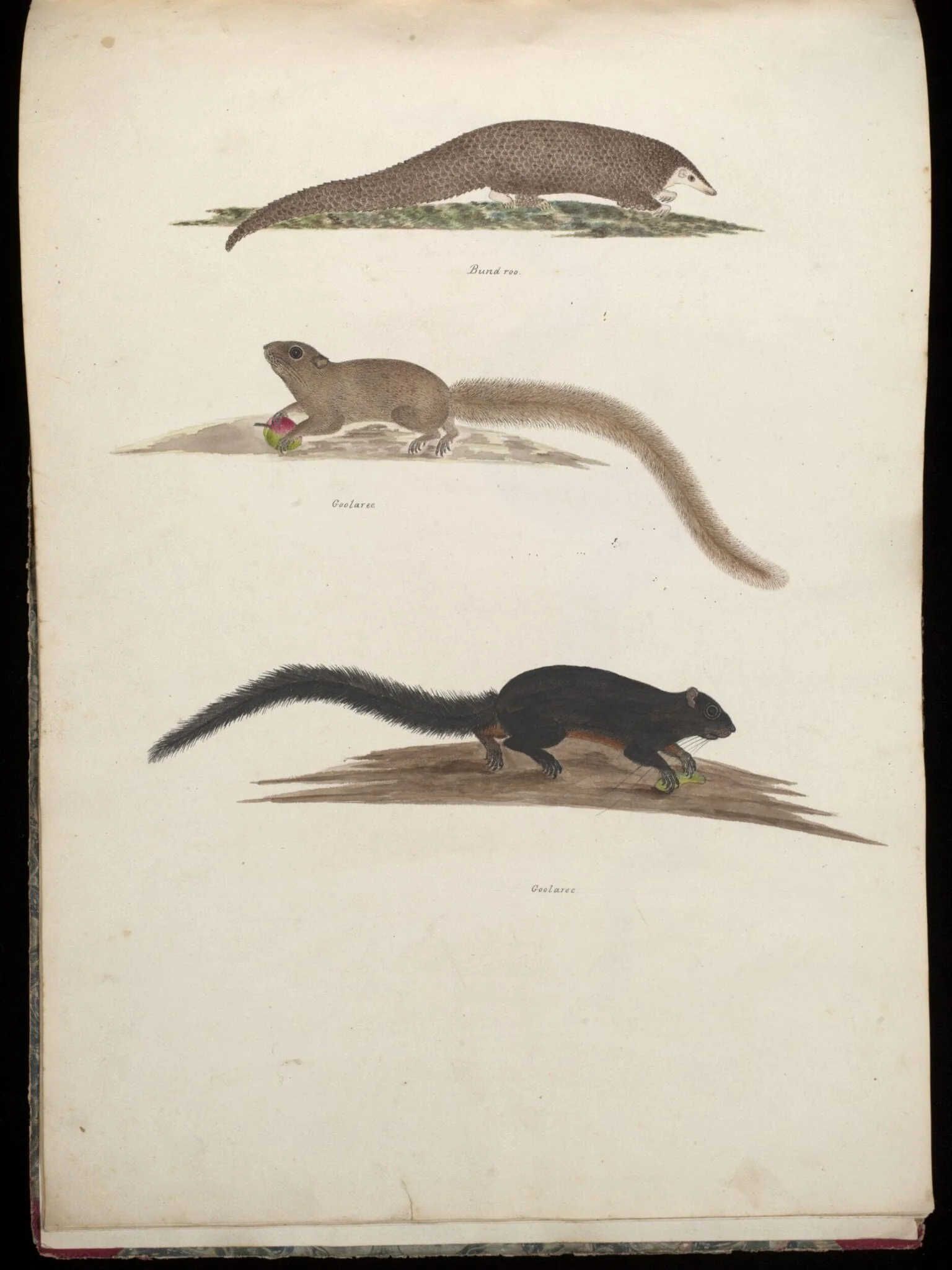 Three animals, detail