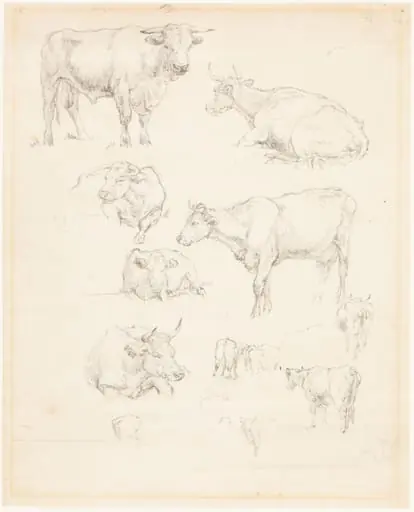 Studies of Cattle, by Robert Hills, graphite, 1806