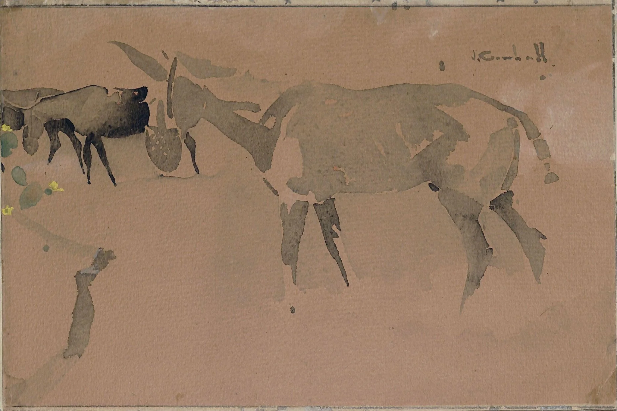 Donkeys, detail