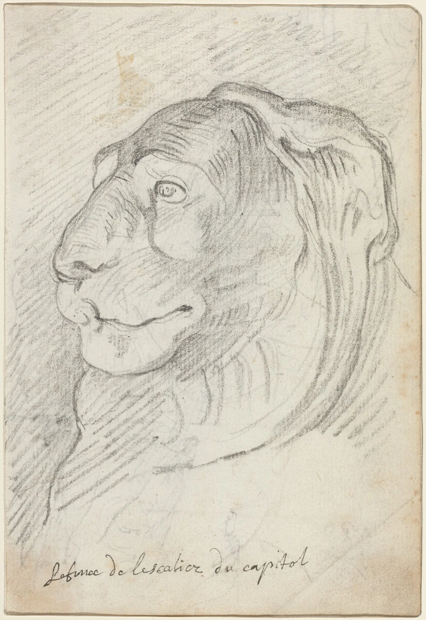 Lion's Head from the Capitoline Staircase, detail