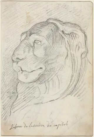 Lion's Head from the Capitoline Staircase, by Augustin Pajou, chalk, 1754