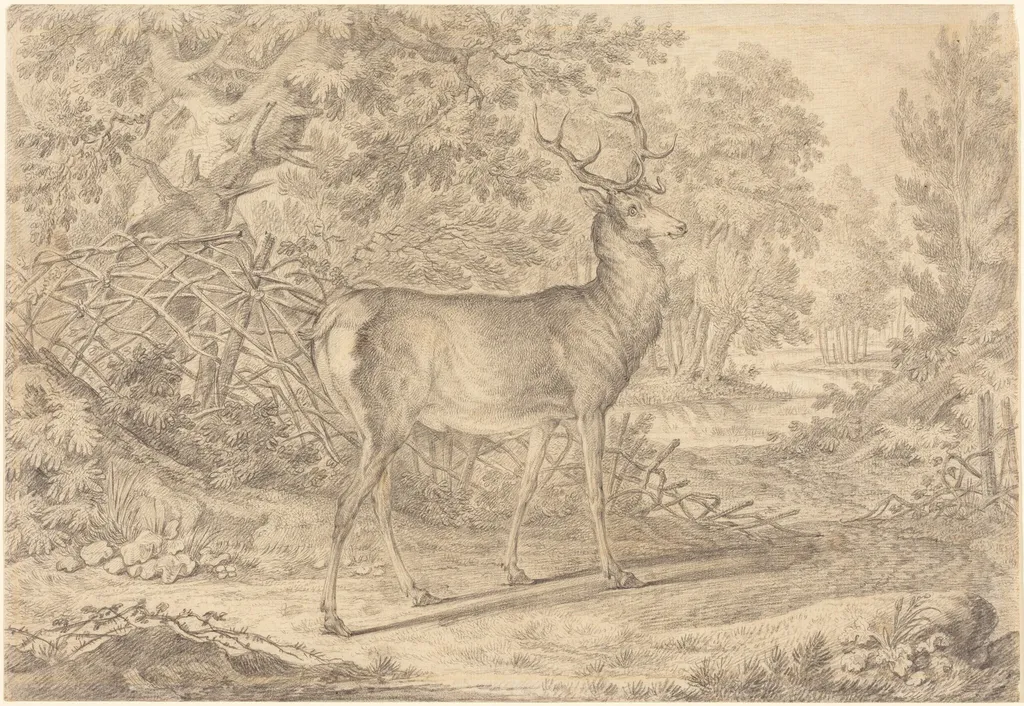 A Splendid Young Stag before a Wattle Fence, by Johann Elias Ridinger, graphite, 1736
