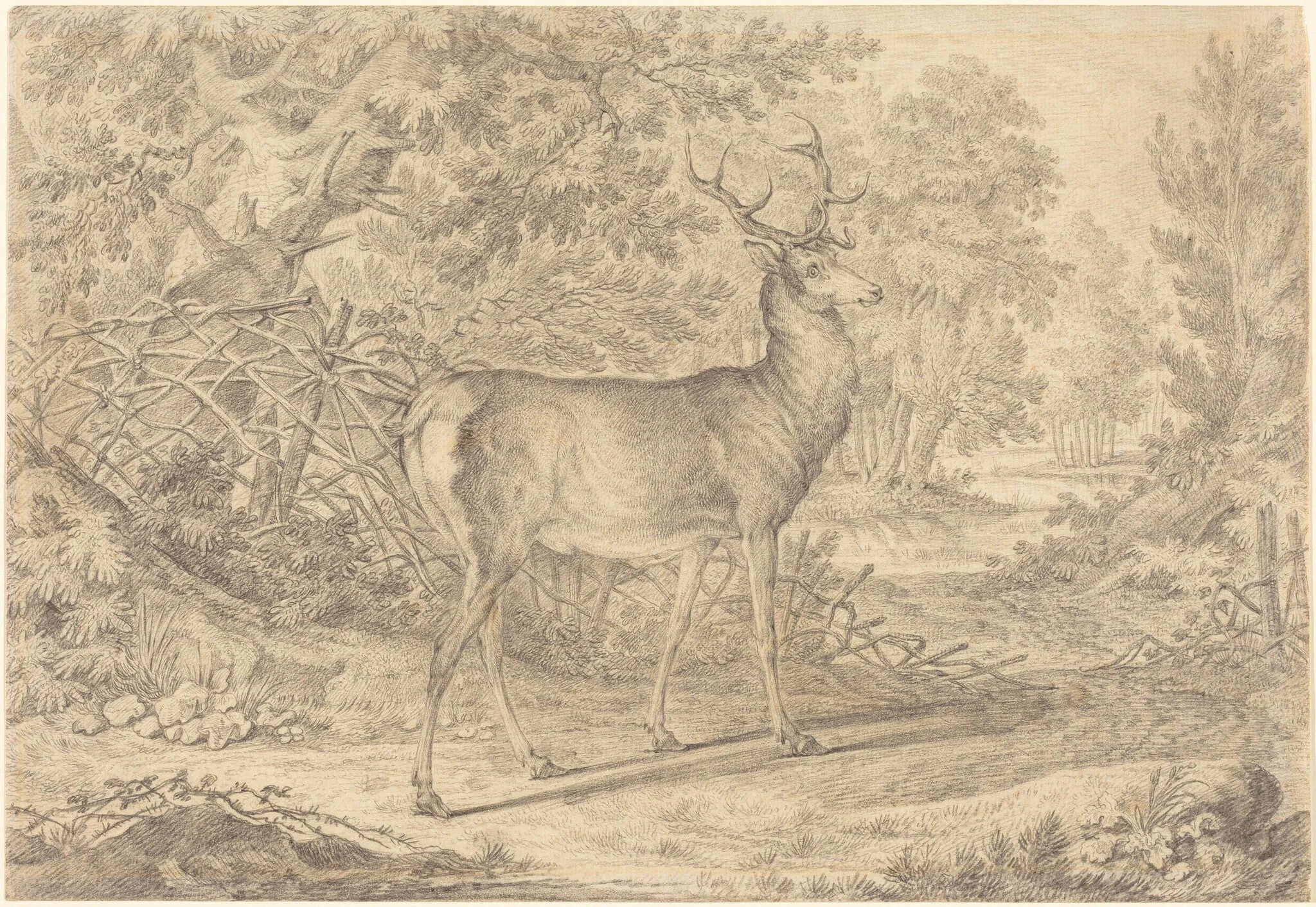 A Splendid Young Stag before a Wattle Fence, detail