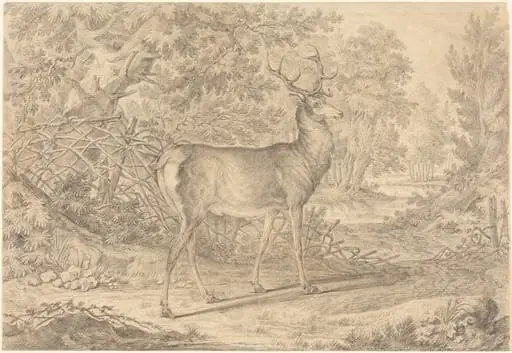 A Splendid Young Stag before a Wattle Fence, by Johann Elias Ridinger, graphite, 1736
