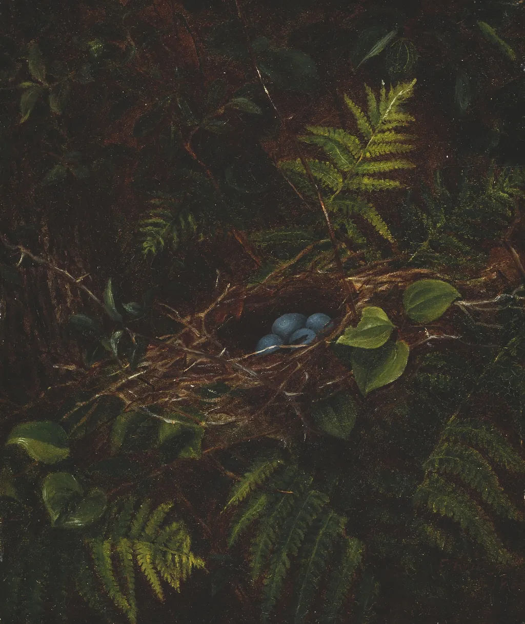 Bird's Nest and Ferns, by Fidelia Bridges, unspecified, 1863