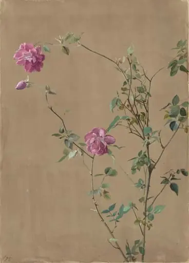 Pink Roses, by Fidelia Bridges