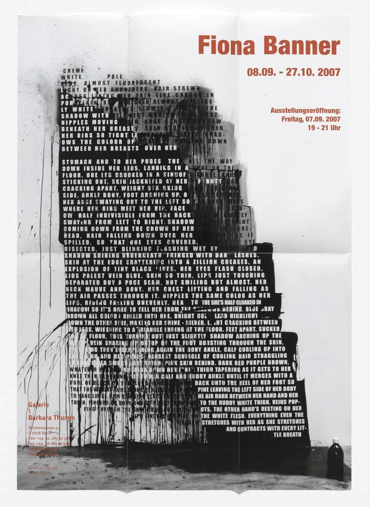 Untitled, by Fiona Banner, 2007
