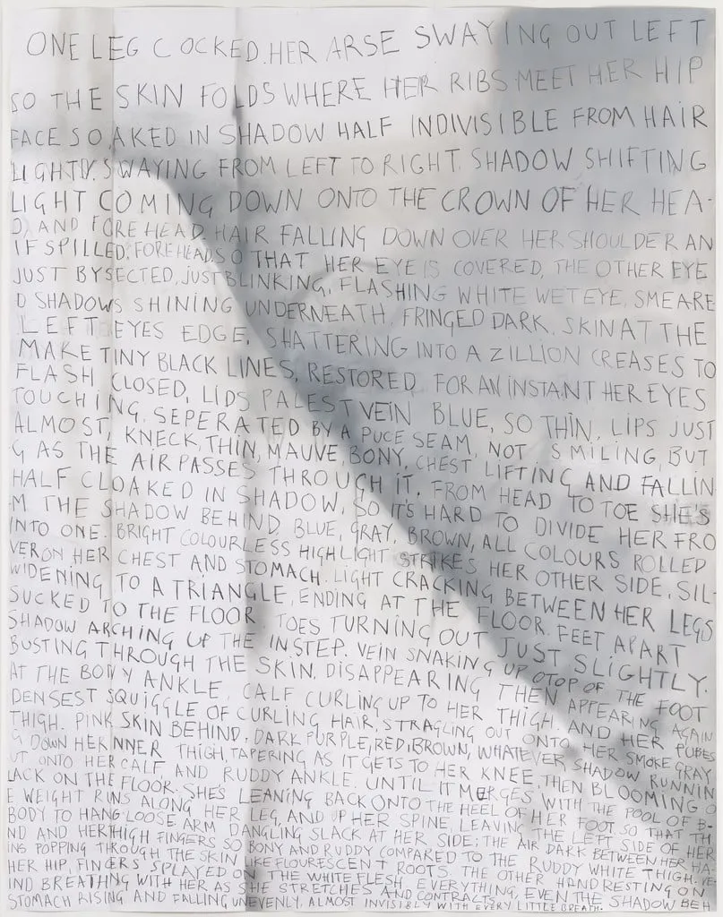 Untitled, by Fiona Banner, graphite, 2006