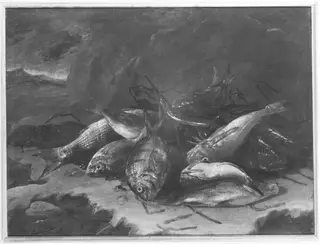 Fischstillleben, by Giuseppe Recco