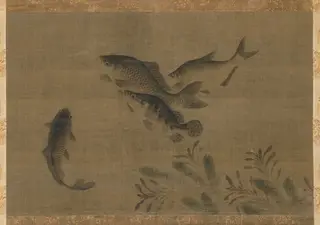 Fish