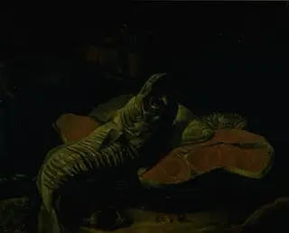 Fish