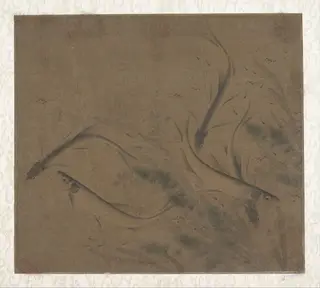 宋    傳 趙克敻    藻魚圖    冊頁|Fish at play, by Zhao Kexiong