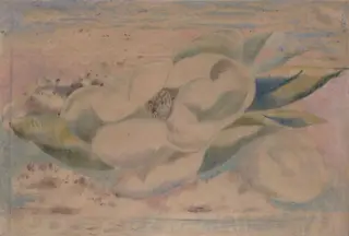 Flight of the Magnolia