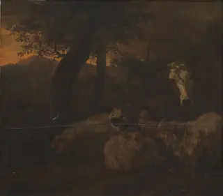 Flock of Sheep in a Wood