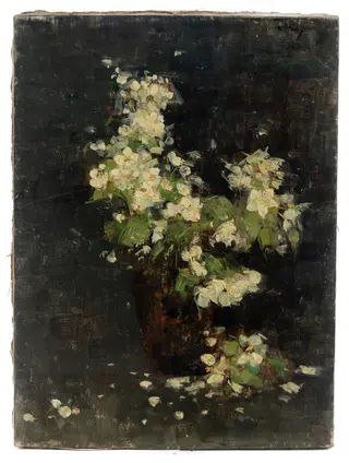 Flori de cireș