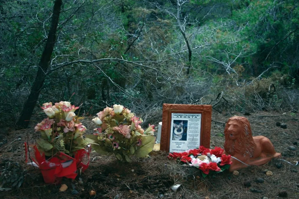 Άτιτλο, by FLORIAN GOLDMANN, 2008