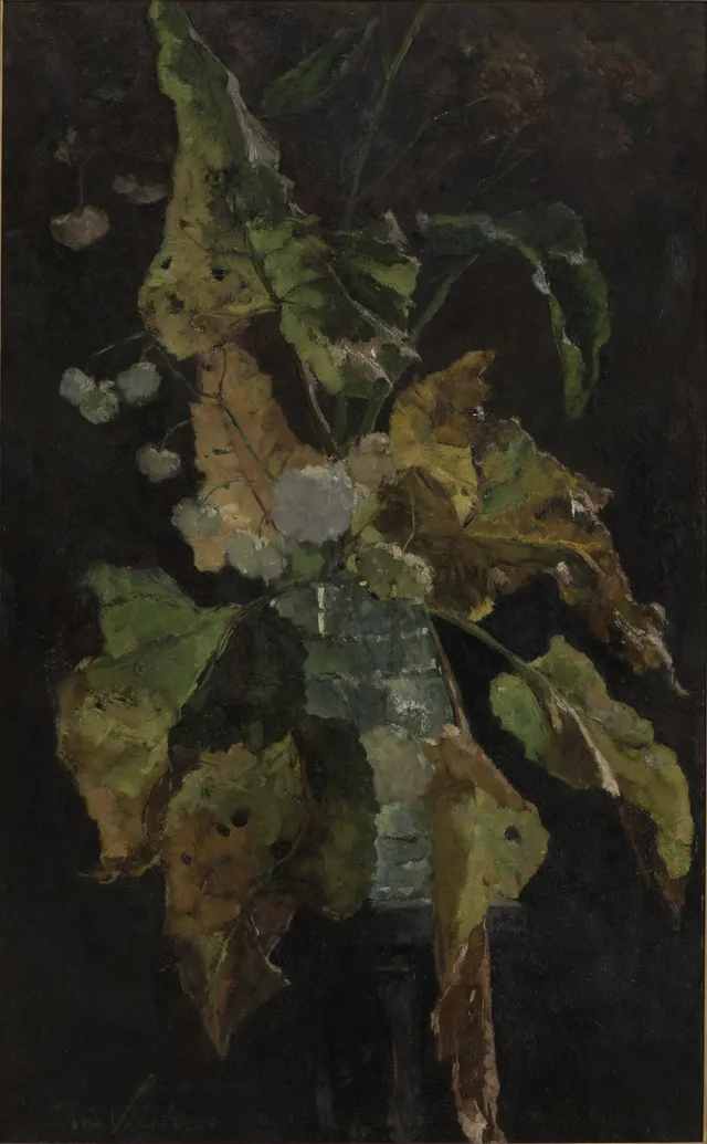 Flowers and Leaves