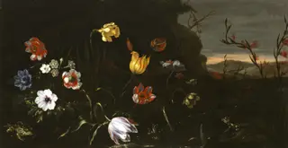 Flowers by a Pond with Frogs, by Giuseppe Recco
