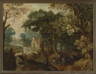 Forest landscape