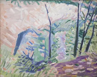 Forest near Bagsværd Lake
