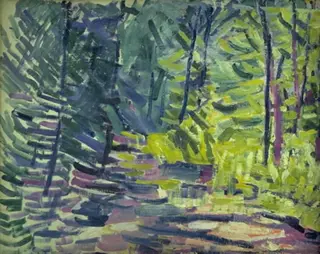 Forest Picture