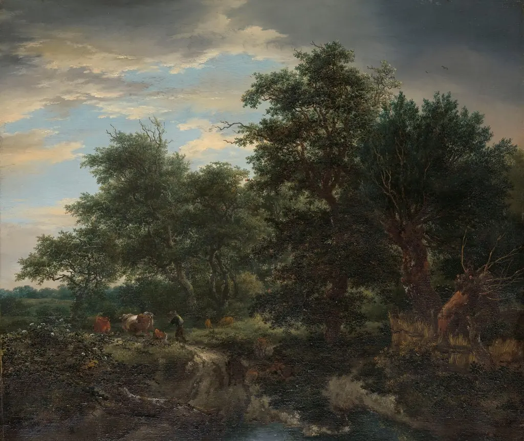 Forest scene