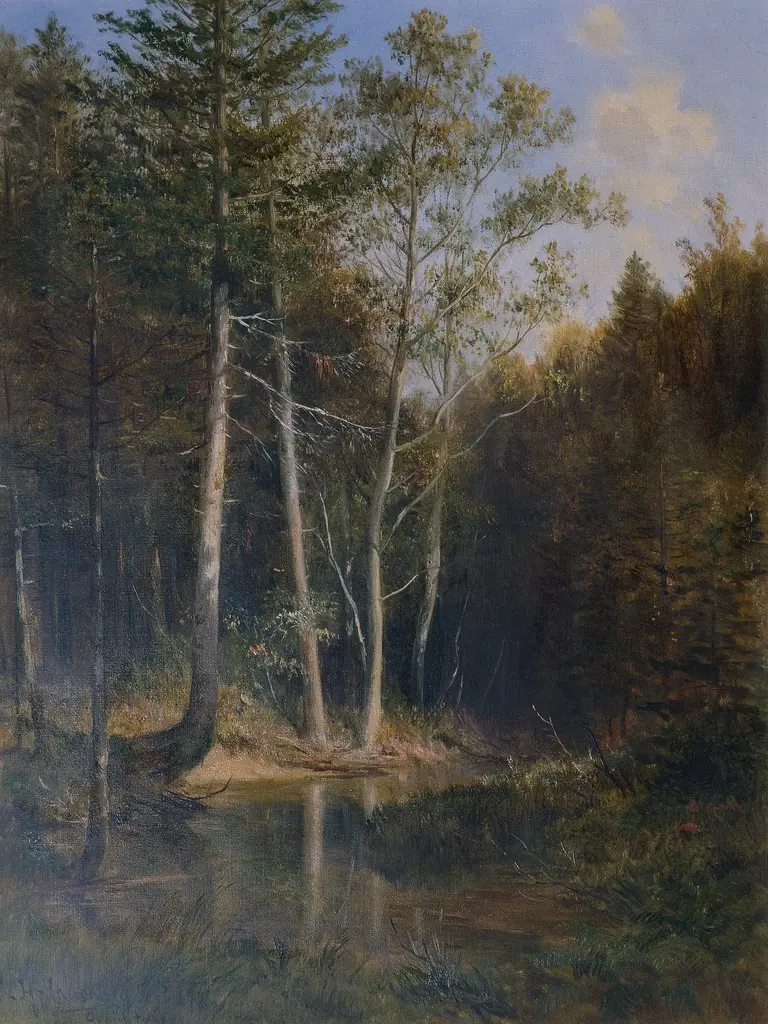 Forest Tour at Gerichtsberg near Kaumberg