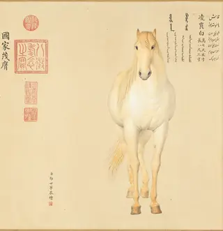 Four Afghan Steeds