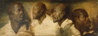 Four Studies of a Male Head