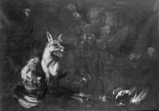 Fox in a Chicken Run