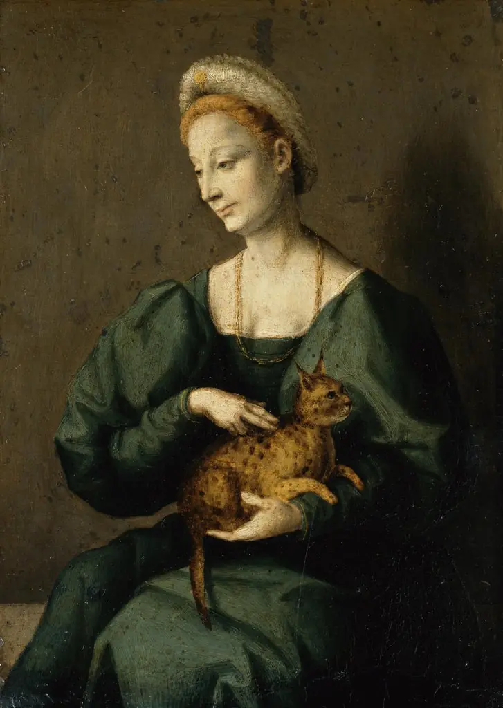 Portrait of a Woman with a Lynx, by Francesco Bacchiacca