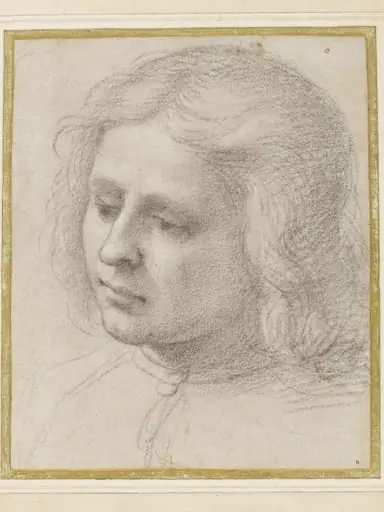 Head of a young man, by Francesco Di Cristofano Guidicis