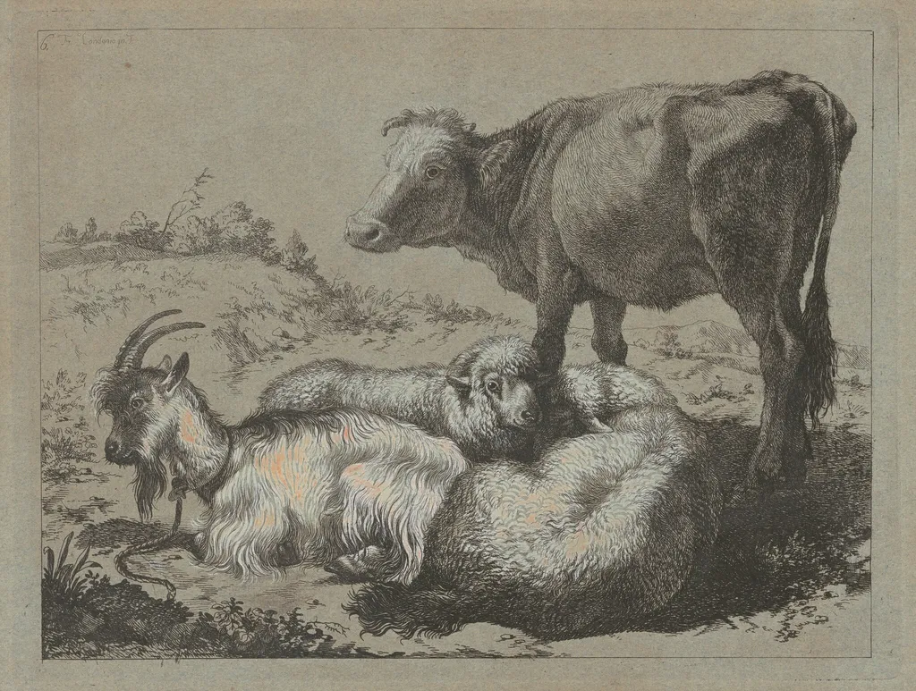 Standing Ox, Two Sheep, and a Goat, by Francesco Londonio, ink, 1762