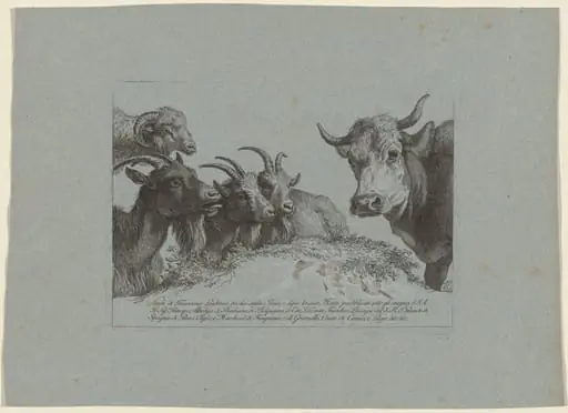 Study of Heads: Three Goats, an Ox, and a Ram, by Francesco Londonio