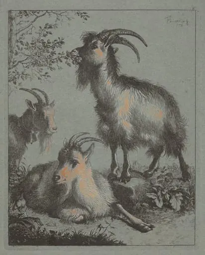 Three Goats, by Francesco Londonio