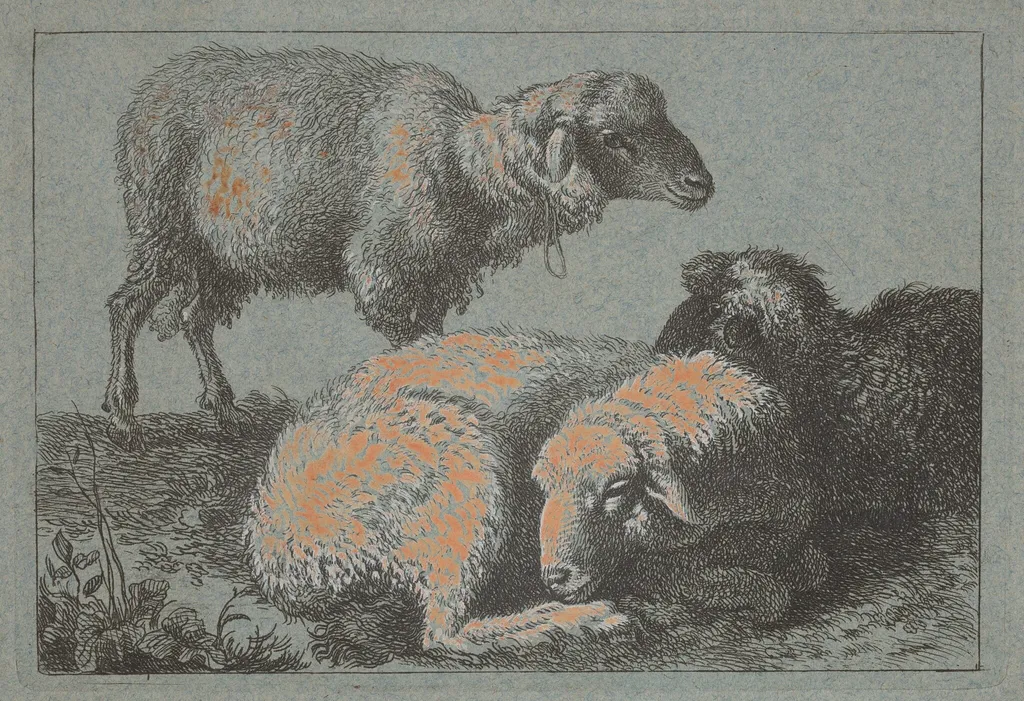 Two Reclining Sheep and One Standing Sheep, by Francesco Londonio, ink, 1758