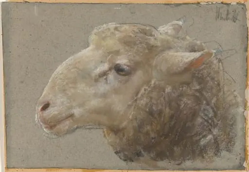 Head of a Sheep, by Francesco Paolo Michetti