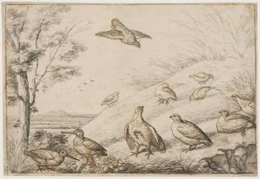 Partridges and snipe, by Francis Barlow