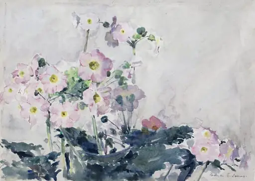 Primulas, by Francis Edward James