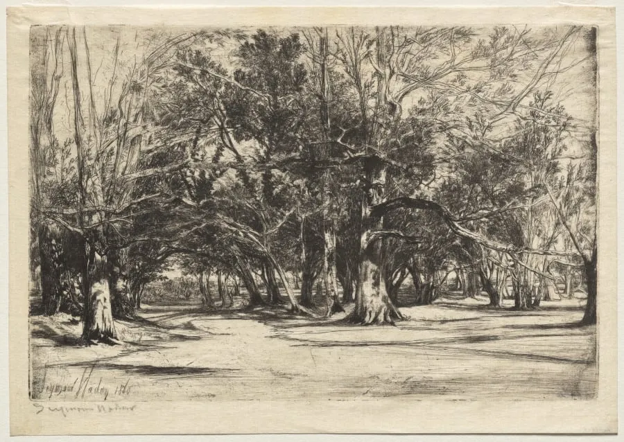 A By-Road in Tipperary, by Francis Seymour Haden, 1860